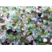 Blast Grit : Coarse grade : 1 tonne