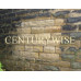 CW20 Heavy Duty Brick Cleaner - 25lts - Collect only