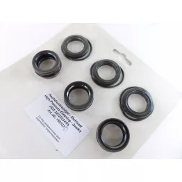 Karcher fit Seal Kit - 156333