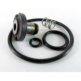 Whirlaway inlet valve and seals kit