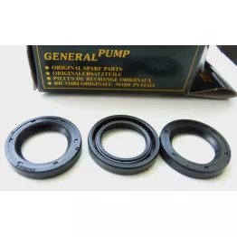 Interpump kit no.2 : Oil seals