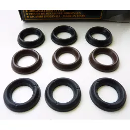 Interpump kit no.88 :  Water Seals   3 x 15mm sets