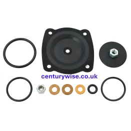 Tandem Valve Service Kit
